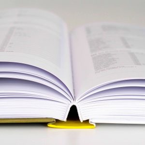 11plus Books