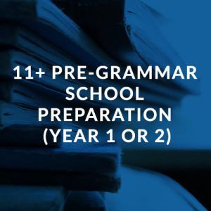 11plus pre-grammar (Year 1 or 2)